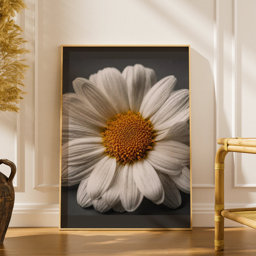 Daisy Flower Poster, White Floral Wall Art, Close Up Botanical Print, Grey Background