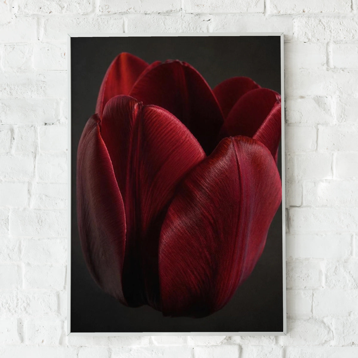 Red Tulip Flower Poster, Dark Moody Botanical Wall Art, Crimson Floral Print for Living Room